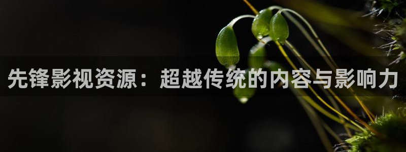 天龙影院2024年最新款：先锋影视资源：超越传统的内容与影响力