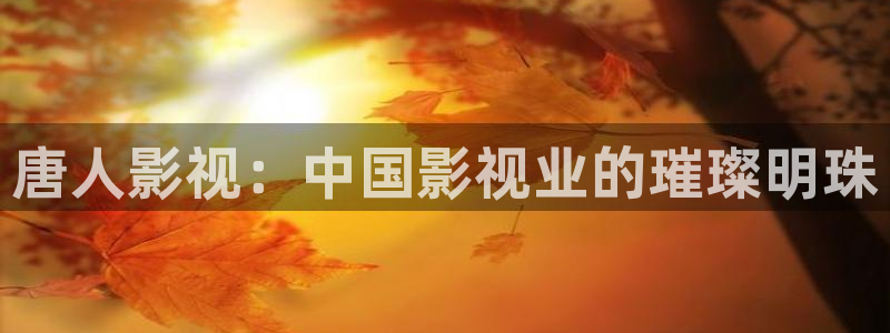 天龙影视在线免费观看：唐人影视：中国影视业的璀璨明珠