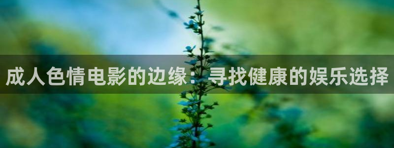 天龙电影院免费：成人色情电影的边缘：寻找健康的娱乐选择