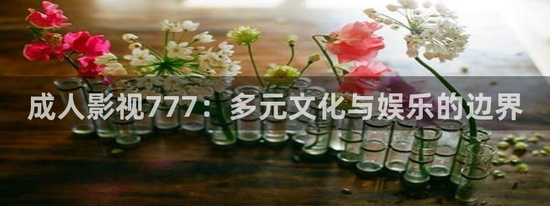 家庭影院 denon 天龙：成人影视777：多元文化与娱乐的边界